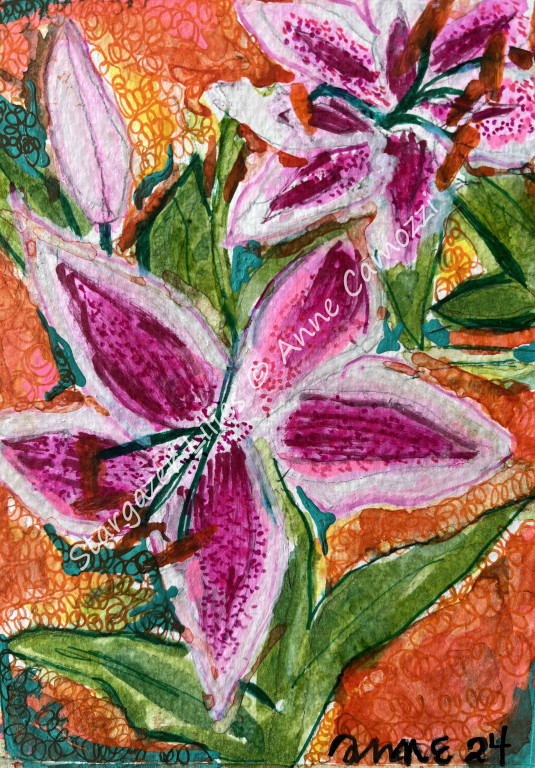 Stargazer Lilies