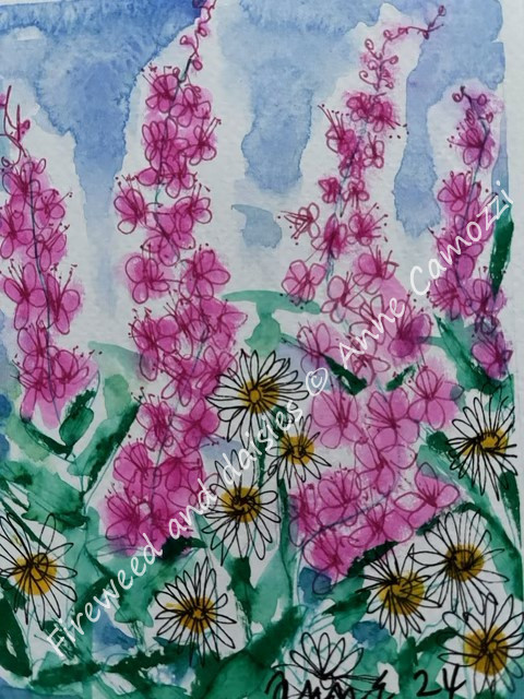 Fireweed and daisies