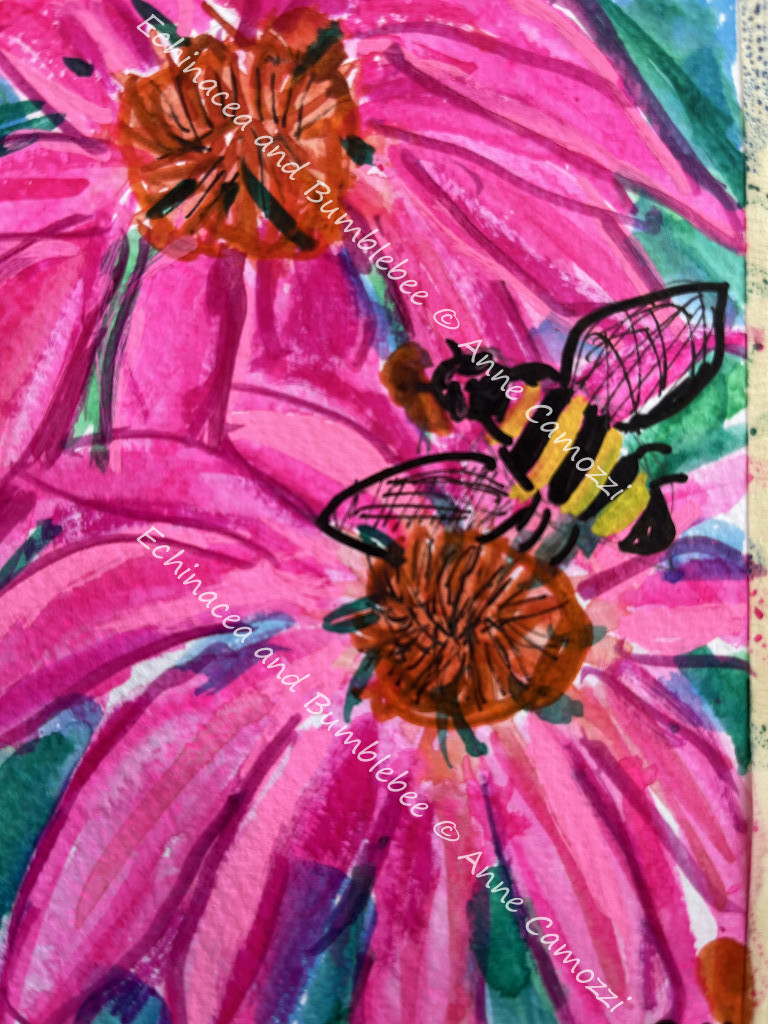 Echinacea and Bumblebee